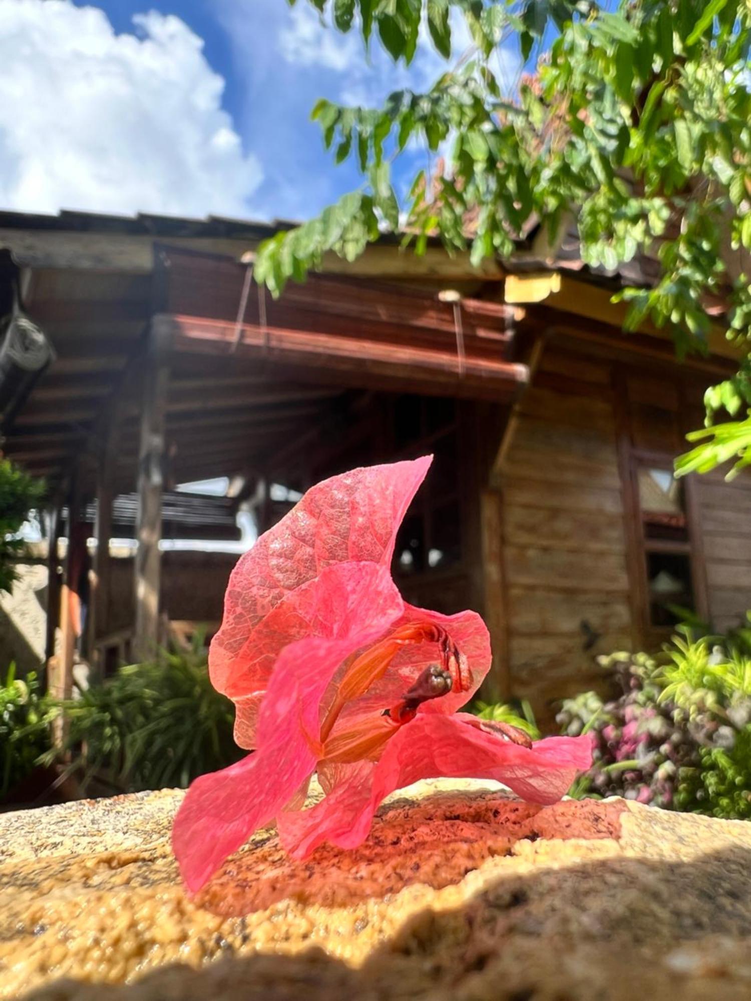 Pinokkio B&B Restaurant อูงาซัน ภายนอก รูปภาพ