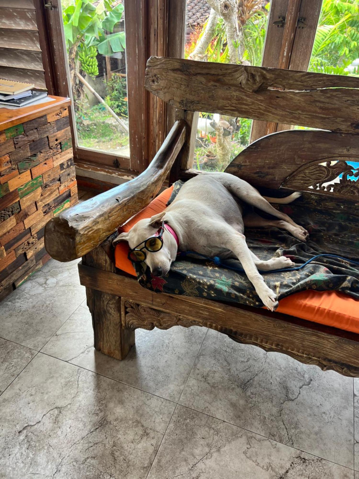 Pinokkio B&B Restaurant อูงาซัน ภายนอก รูปภาพ